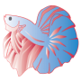 Seo Betta Logo